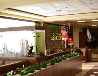 Санаторий "Кедр"