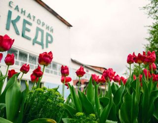 Санаторий "Кедр"