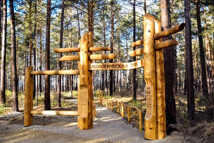 Санаторий "Кедр"