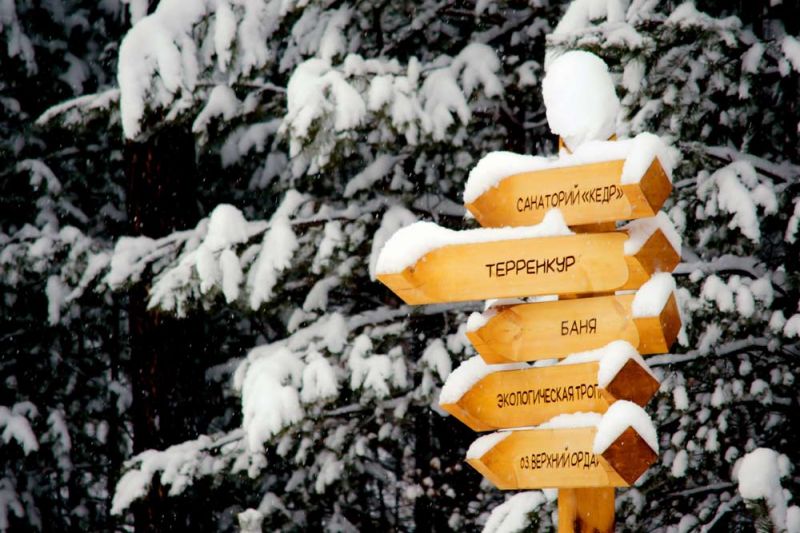 Санаторий "Кедр"